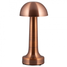 Светильник WC-200B