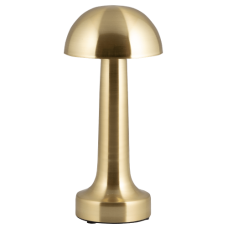 Светильник WC-200G